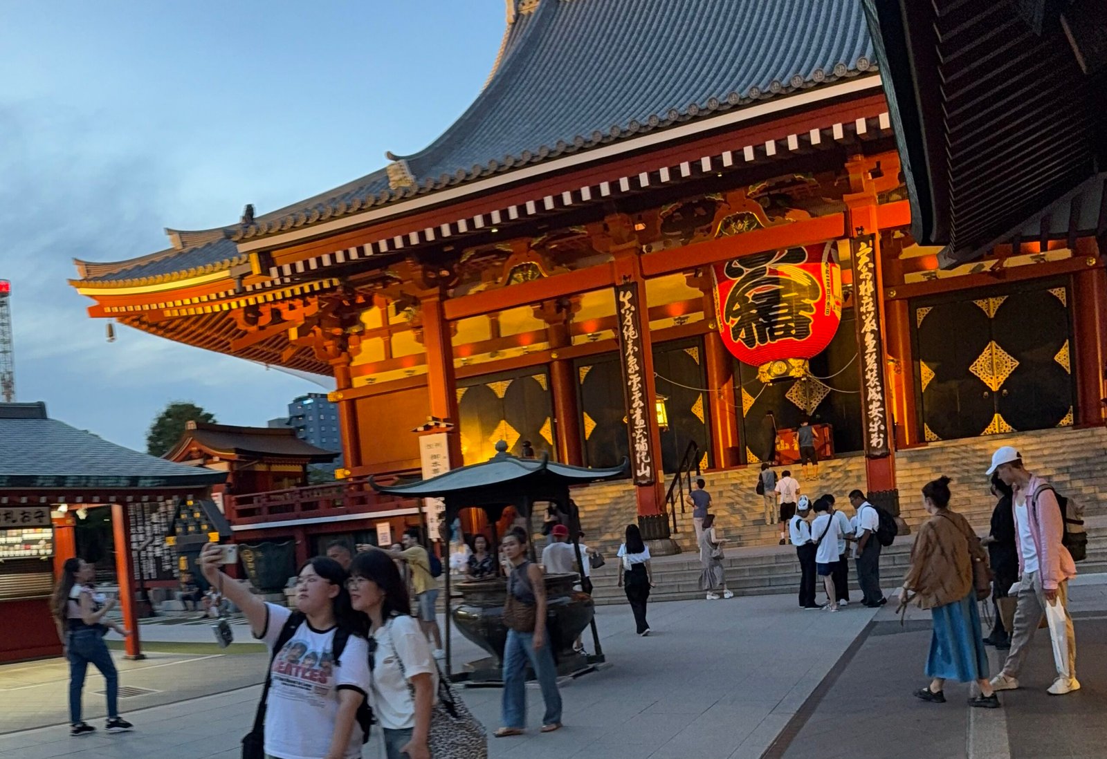 The Good, Bad, and the Ugly about Tokyo, Japan