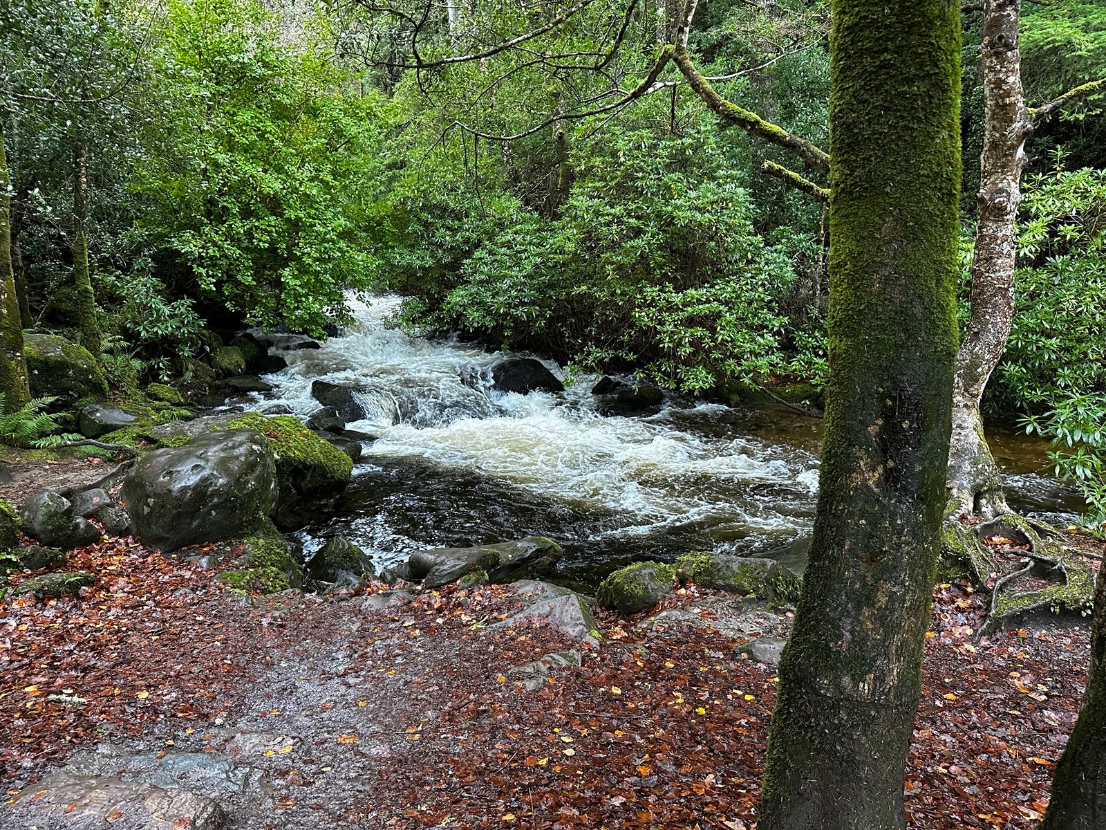 Why This Town Is One of Ireland&rsquo;s Must-Visit Destinations