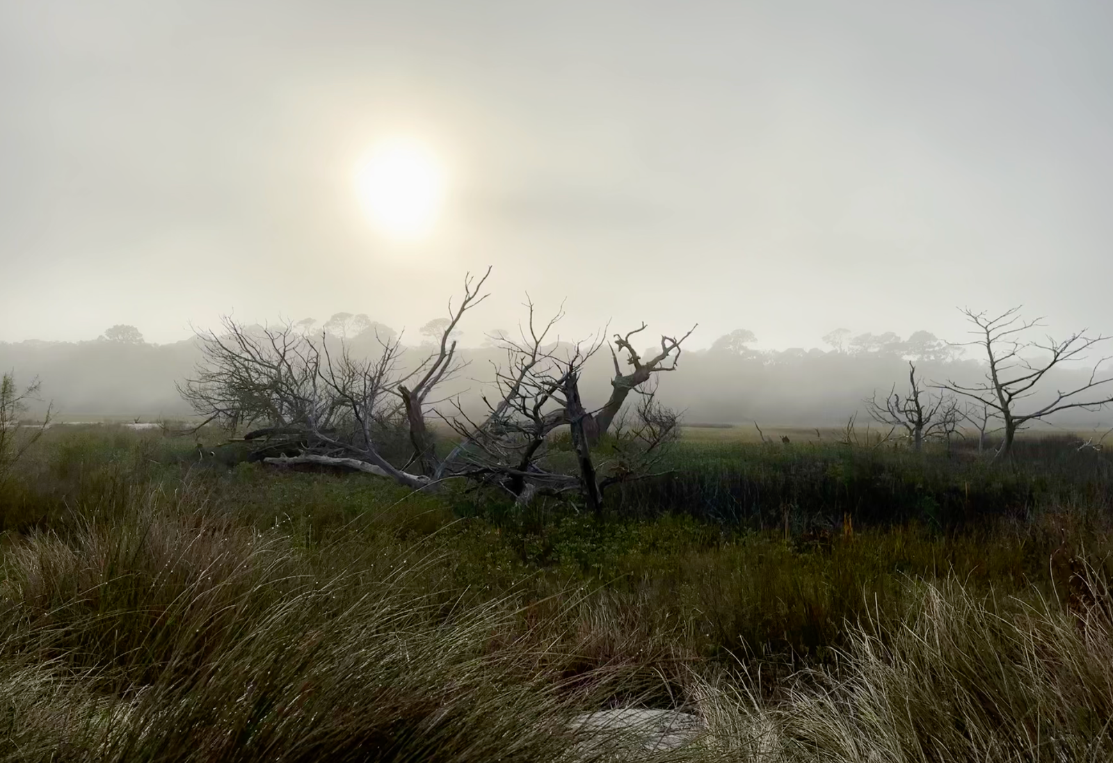Visiting Jekyll Island, Georgia: A Quiet Coastal Escape Full of History and Nostalgia