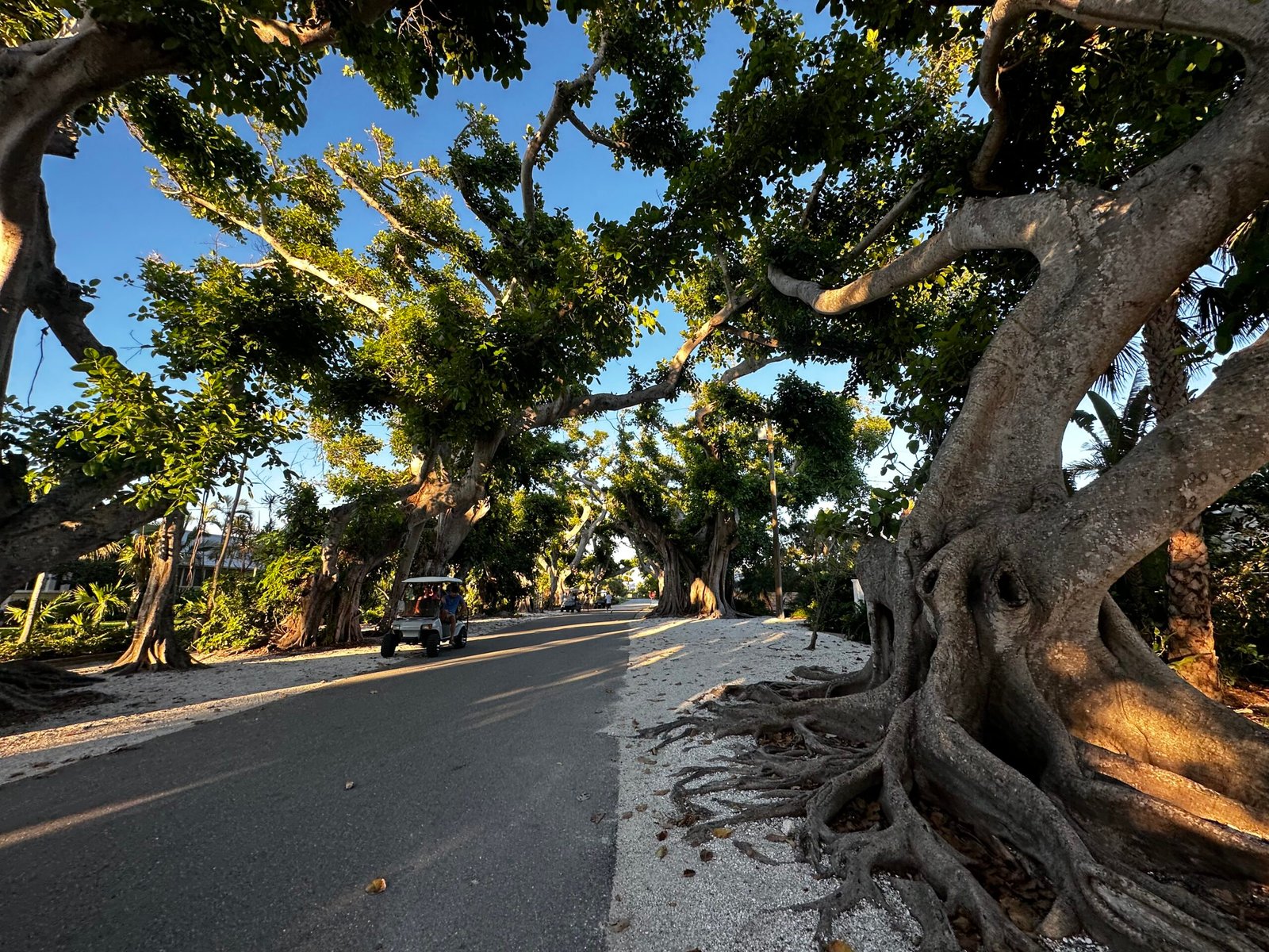 Boca Grande, Florida: Our Favorite Beach to Visit in Florida