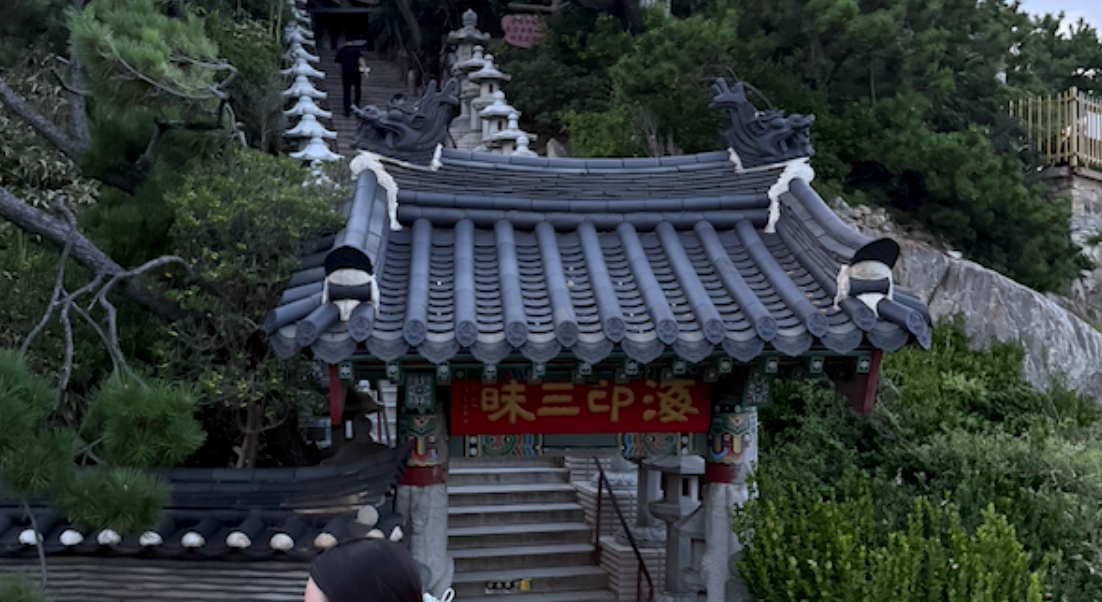 Do You Really Not Need Korean When Traveling to South Korea?