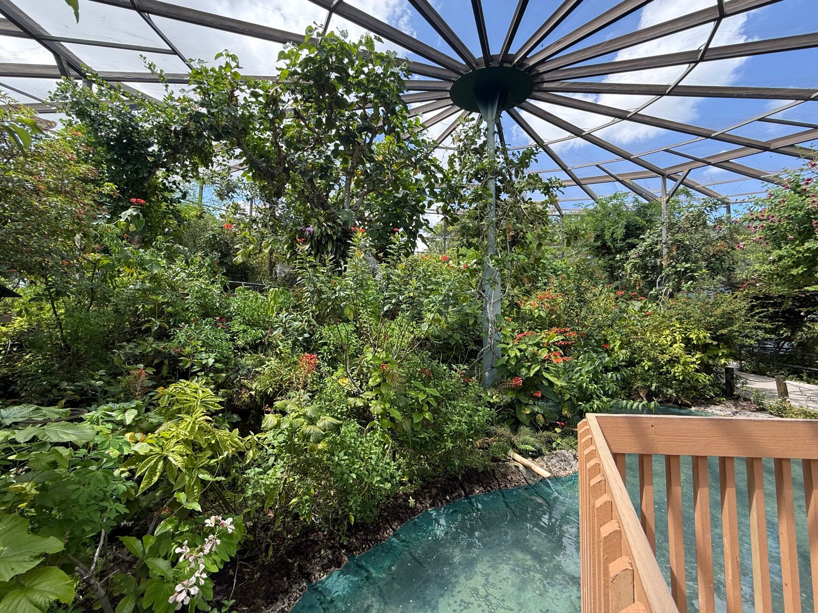 Visiting Butterfly World With Our Family: A South Florida Day Full of Wings, Birds, and Wonder